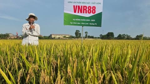 Traceability in the natural-rubber supply chain